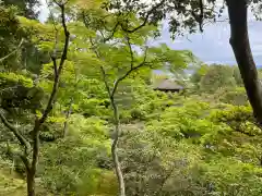 慈照寺（慈照禅寺・銀閣寺）(京都府)