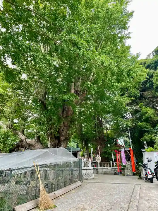 福徳稲荷神社 (海南神社境内社)(神奈川県)