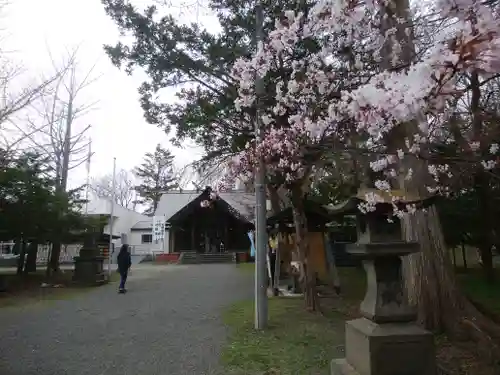 錦山天満宮の自然