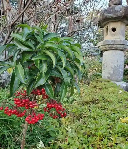 沙沙貴神社の自然