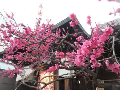 千束稲荷神社(東京都)