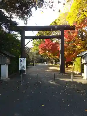 常磐神社の鳥居