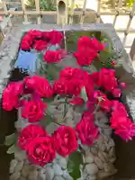 尾曳稲荷神社の手水舎