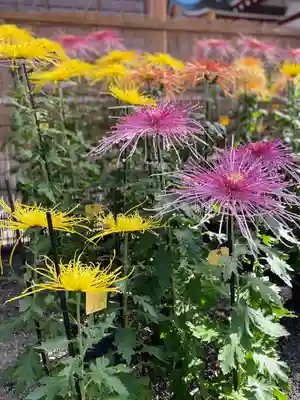 亀戸天神社のその他建物