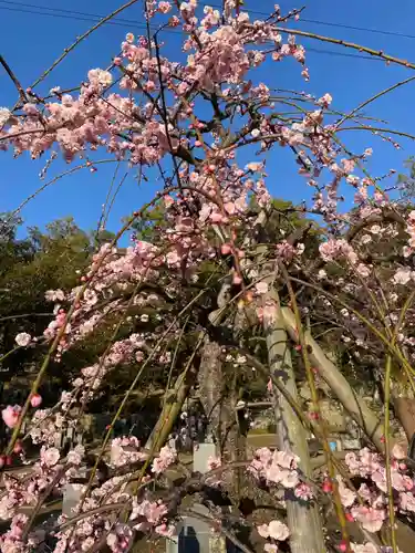 伊勢の国 四天王寺(三重県)