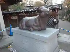 湯島天満宮の狛犬