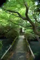新薬師寺の自然