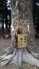 滑川神社 - 仕事と子どもの守り神の自然