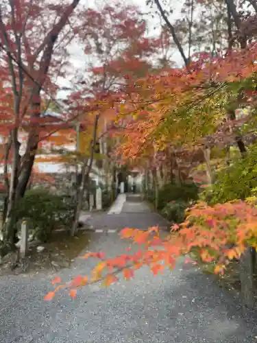 神峯山寺(大阪府)