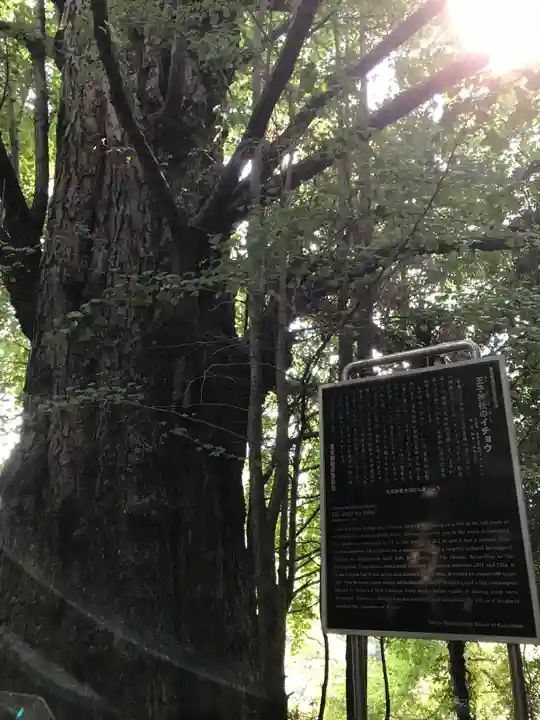 王子神社の自然