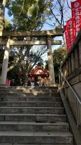 笠䅣稲荷神社の鳥居