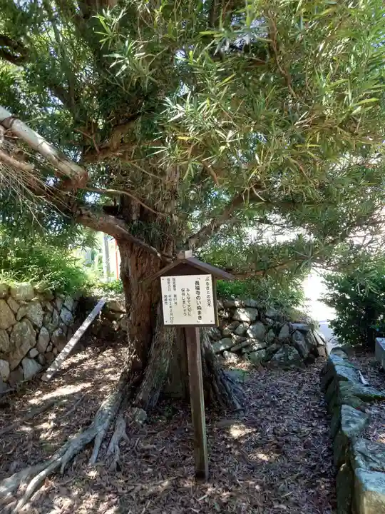 長福寺(愛知県)