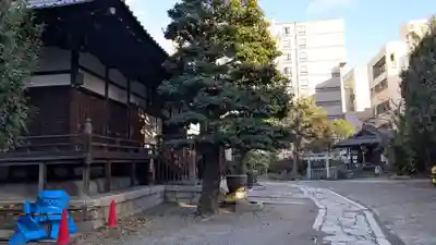 天性寺の庭園