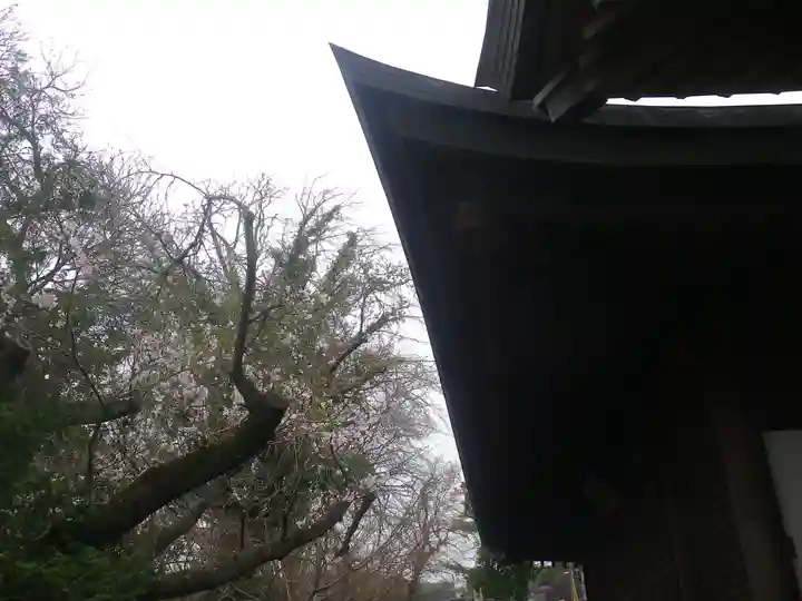 長勝寺の本殿・本堂