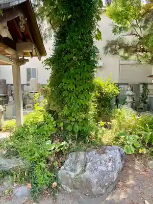 善性寺(神奈川県)