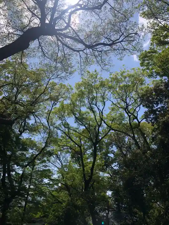 枚岡神社の景色