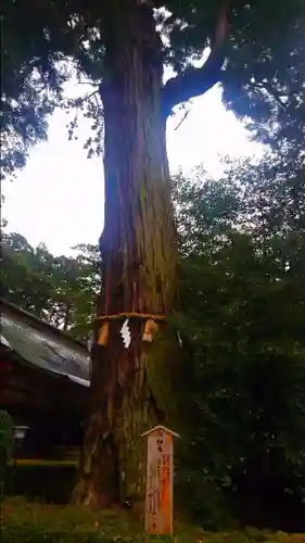 香取神宮の自然