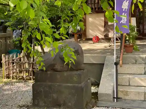 牛天神北野神社の狛犬