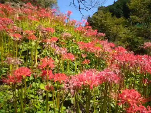 仏隆寺(奈良県)