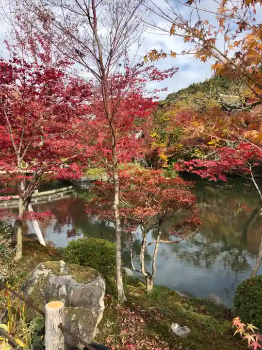 禅林寺(永観堂)の庭園