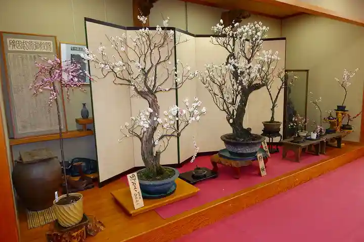 菅原天満宮(菅原神社)の自然