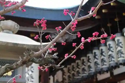 大阪天満宮の自然