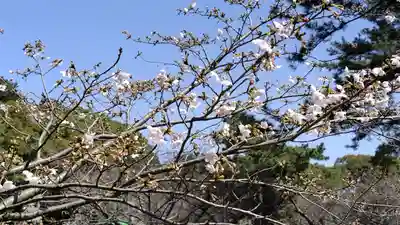 志都岐山神社(山口県)