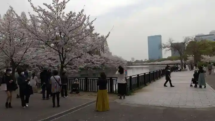 豊國神社の自然
