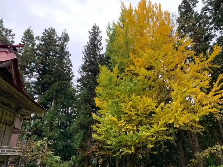 住吉神社(福島県)