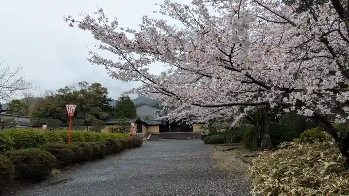 隨心院(随心院)(京都府)