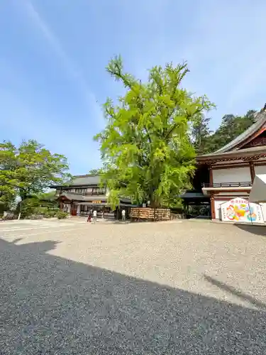 吉備津神社(岡山県)