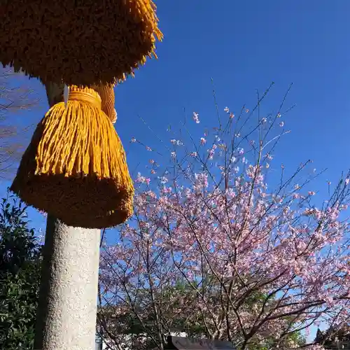 糀谷八幡宮の自然
