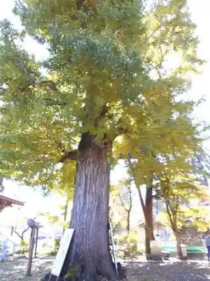 恵隆寺(立木千手観音)(福島県)