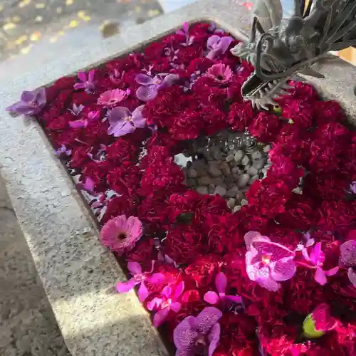 札幌諏訪神社の手水舎