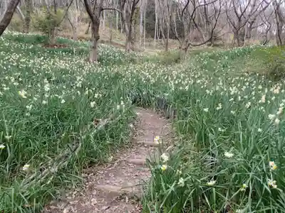 鐸比古鐸比賣神社旧社地の自然