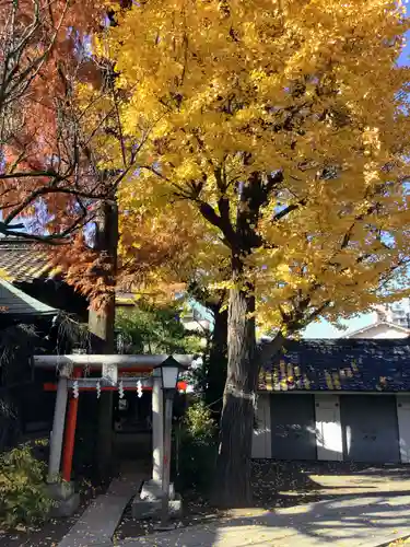 千住本氷川神社(東京都)