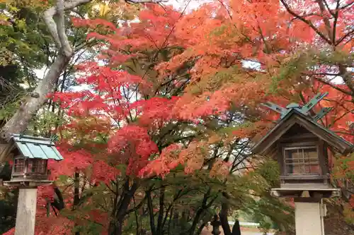 三春大神宮の庭園