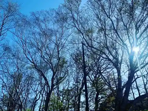 釧路一之宮 厳島神社の自然