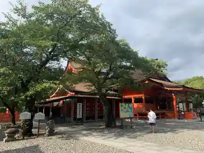 富士山本宮浅間大社の本殿・本堂