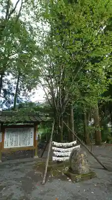 甲佐神社の自然
