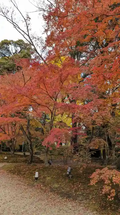 長岡天満宮(京都府)