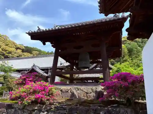 興聖寺（興聖寶林禅寺）の{uncategorized: "未分類", other: "その他", undefined: "問題あり", building: "その他建物", grave: "お墓", sacred_gate: "鳥居", guardian: "狛犬", statue: "像", buddha: "仏像", history: "歴史", nature: "自然", garden: "庭園", animal: "動物", pagoda: "塔", temizu: "手水舎", mountain_gate: "山門・神門", sanctuary: "本殿・本堂", subordinate: "末社・摂社", art: "芸術", scenery: "景色", jizo: "地蔵", ema: "絵馬", goshuin: "御朱印", omikuji: "おみくじ", items: "授与品その他", amulet: "お守り", goshuincho: "御朱印帳", eats: "食事", festival: "お祭り", votive_dance: "神楽", shichigosan: "七五三参", wedding: "結婚式", experience: "体験その他", initially: "初詣", around: "周辺", anti_infection: "感染症対策"}