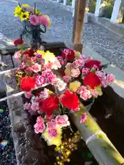 佐野赤城神社の手水