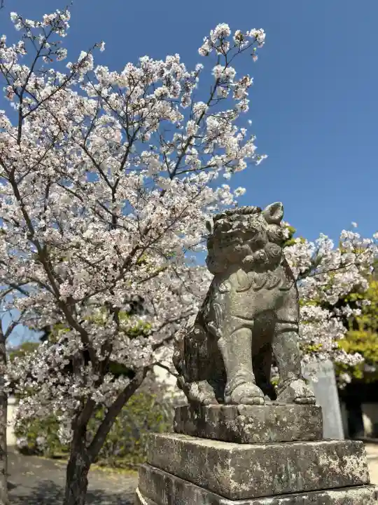 鶴羽根神社の{uncategorized: "未分類", other: "その他", undefined: "問題あり", building: "その他建物", grave: "お墓", sacred_gate: "鳥居", guardian: "狛犬", statue: "像", buddha: "仏像", history: "歴史", nature: "自然", garden: "庭園", animal: "動物", pagoda: "塔", temizu: "手水舎", mountain_gate: "山門・神門", sanctuary: "本殿・本堂", subordinate: "末社・摂社", art: "芸術", scenery: "景色", jizo: "地蔵", ema: "絵馬", goshuin: "御朱印", omikuji: "おみくじ", items: "授与品その他", amulet: "お守り", goshuincho: "御朱印帳", eats: "食事", festival: "お祭り", votive_dance: "神楽", shichigosan: "七五三参", wedding: "結婚式", experience: "体験その他", initially: "初詣", around: "周辺", anti_infection: "感染症対策"}