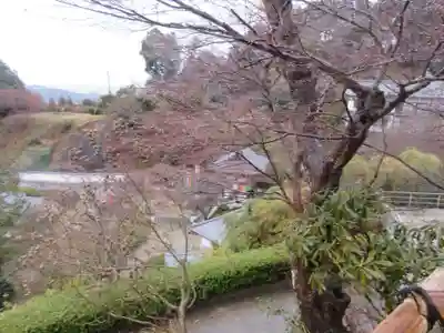 岡寺(龍蓋寺)(奈良県)
