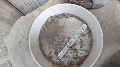 法雲寺(京都府)