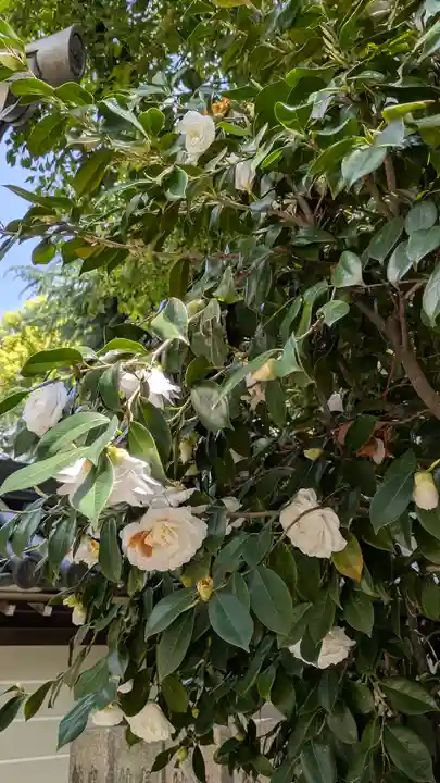 了徳院(大阪府)