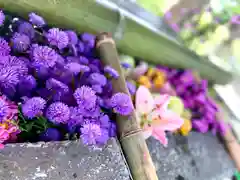 眞田神社(長野県)