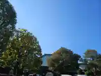 長喜院(埼玉県)