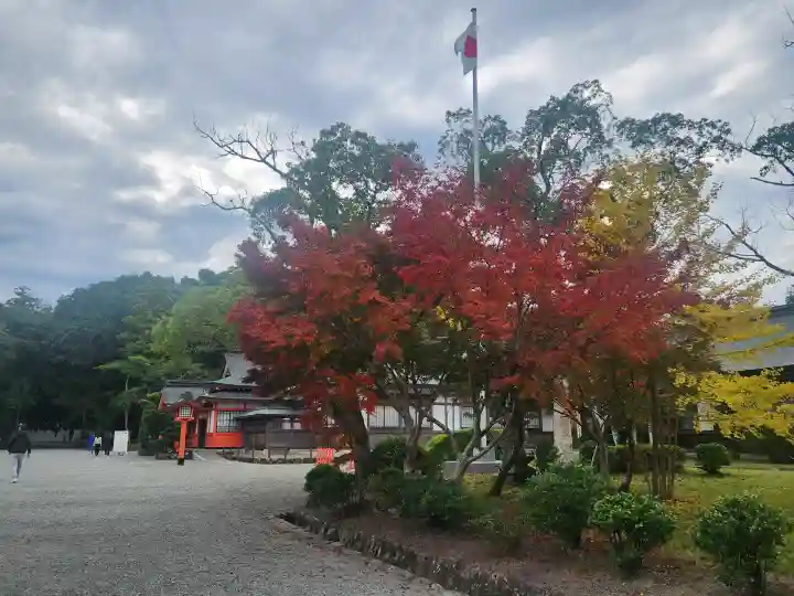 宇佐神宮の{uncategorized: "未分類", other: "その他", undefined: "問題あり", building: "その他建物", grave: "お墓", sacred_gate: "鳥居", guardian: "狛犬", statue: "像", buddha: "仏像", history: "歴史", nature: "自然", garden: "庭園", animal: "動物", pagoda: "塔", temizu: "手水舎", mountain_gate: "山門・神門", sanctuary: "本殿・本堂", subordinate: "末社・摂社", art: "芸術", scenery: "景色", jizo: "地蔵", ema: "絵馬", goshuin: "御朱印", omikuji: "おみくじ", items: "授与品その他", amulet: "お守り", goshuincho: "御朱印帳", eats: "食事", festival: "お祭り", votive_dance: "神楽", shichigosan: "七五三参", wedding: "結婚式", experience: "体験その他", initially: "初詣", around: "周辺", anti_infection: "感染症対策"}